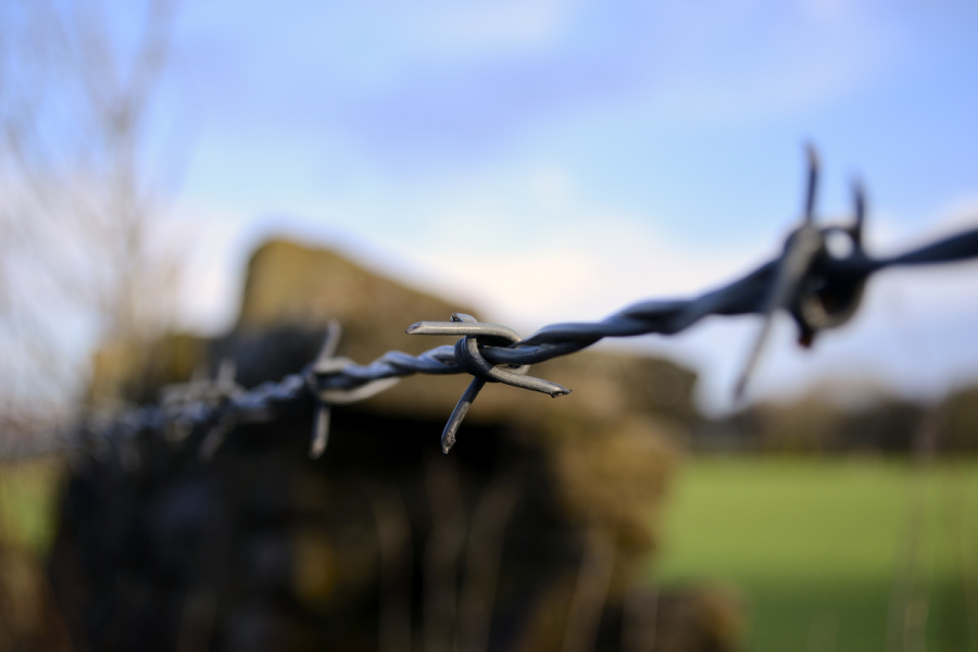 Dissecting ‘bordernomics’