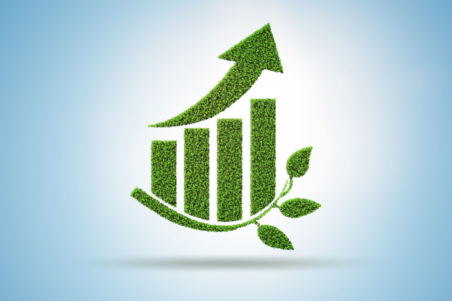 What developing countries need to reach net zero