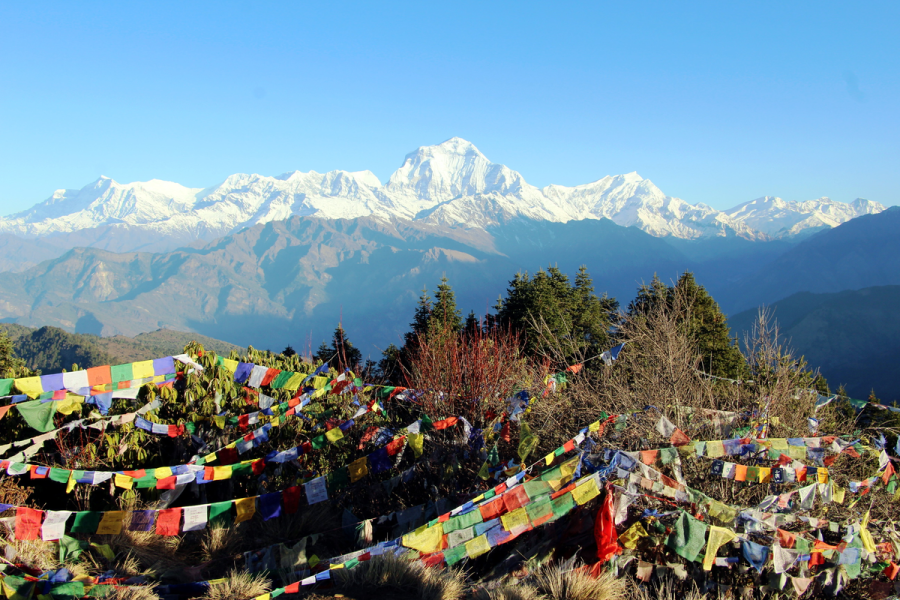 Subnational level finances