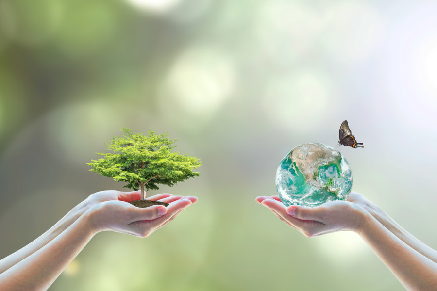 ASEAN countries must lead on biodiversity