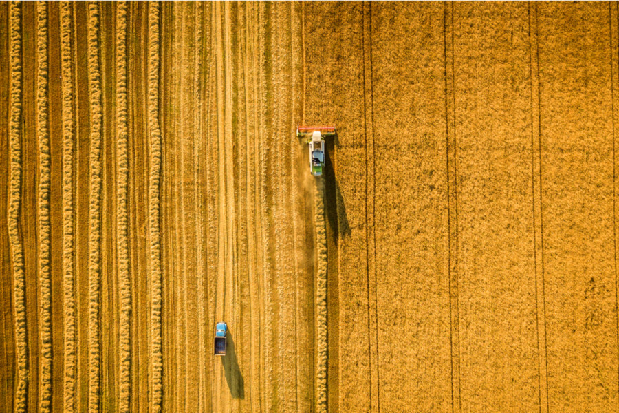 The global food system isn’t working