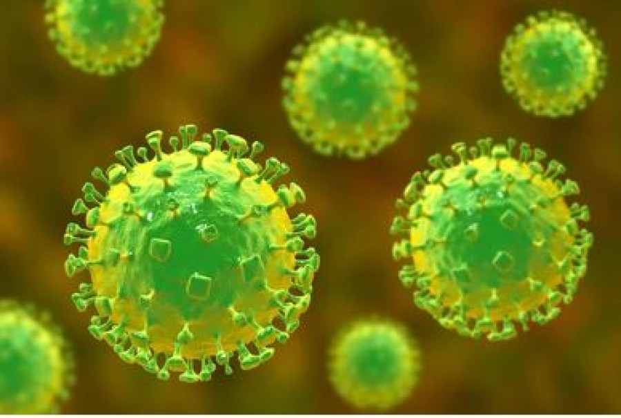 Nepal activates early warning, reporting system after Nipah outbreak in India