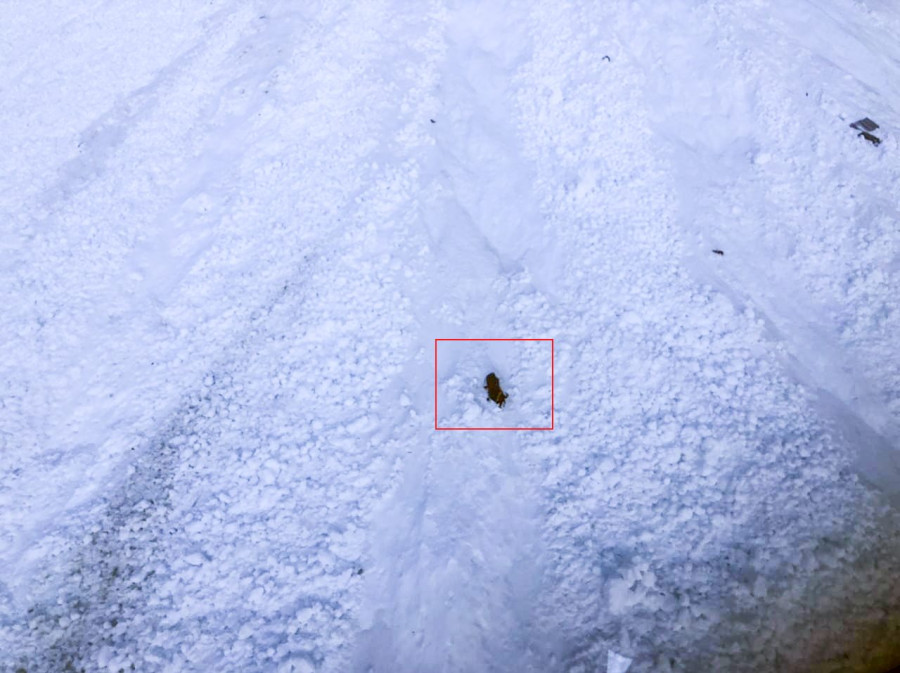 Three French climbers reported missing in Everest region
