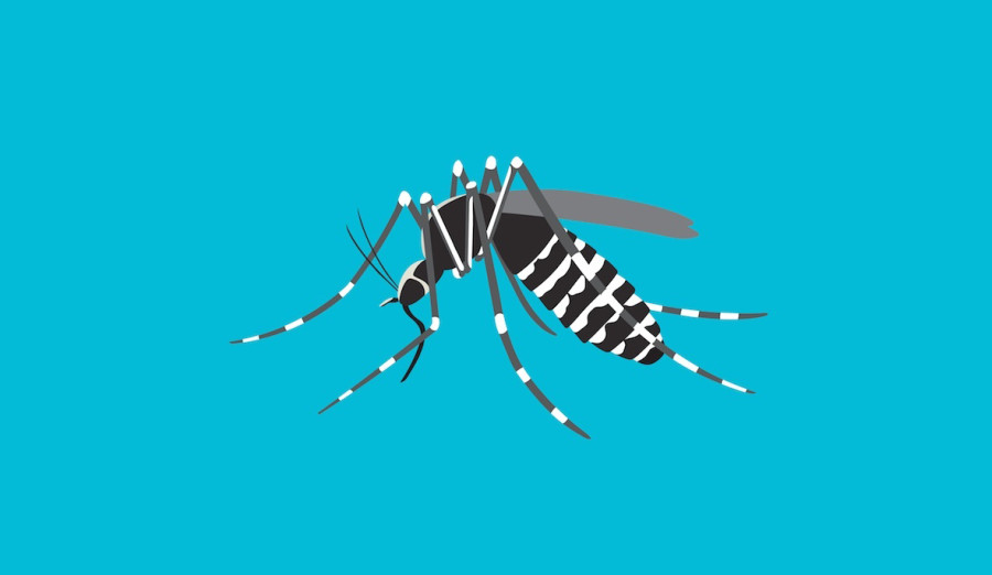 Dengue outbreak in India rings alarm bells in Nepal