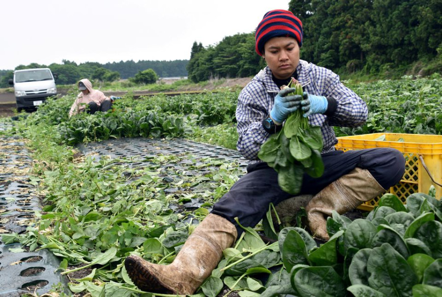 Japan looks to accept more foreigners in key policy shift