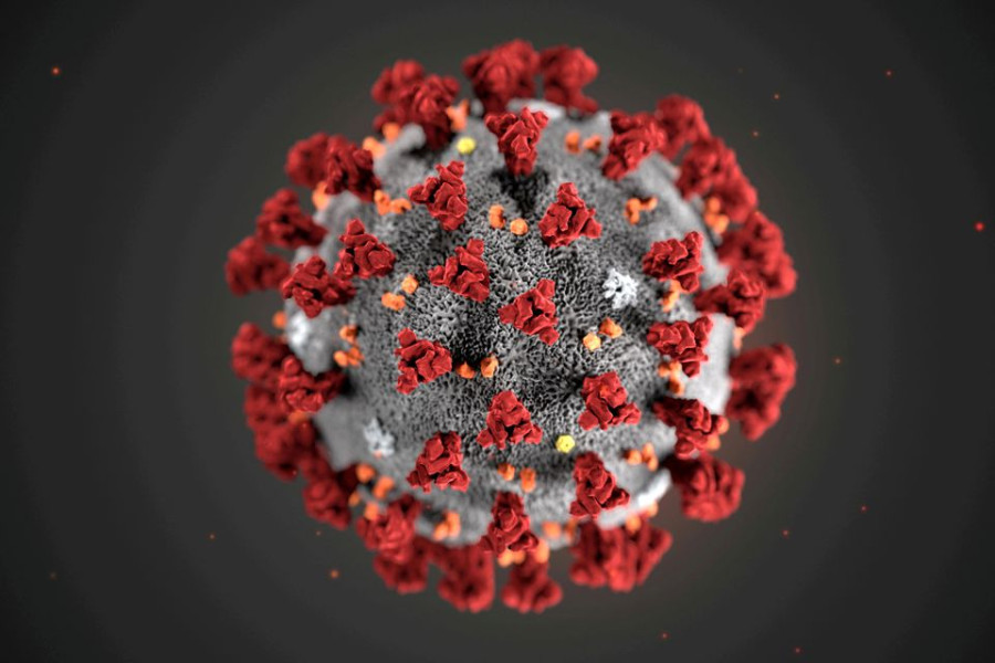Here’s a summary of some recent studies on Covid-19