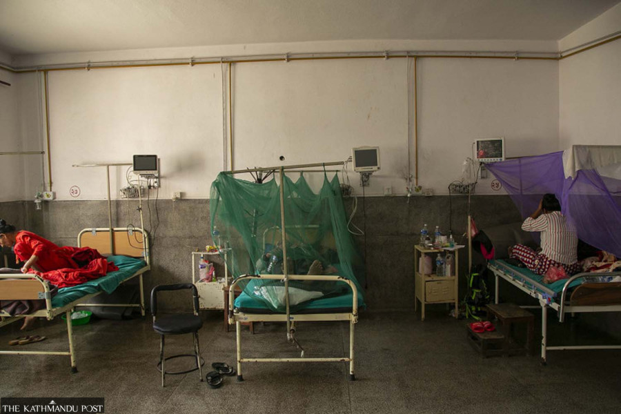 Dengue cases cross 2000-mark in Chitwan