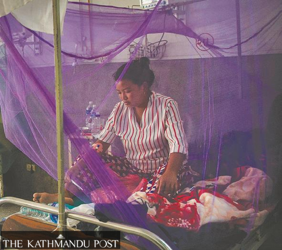 As dengue becomes endemic to Nepal, infection, mortality risks escalate