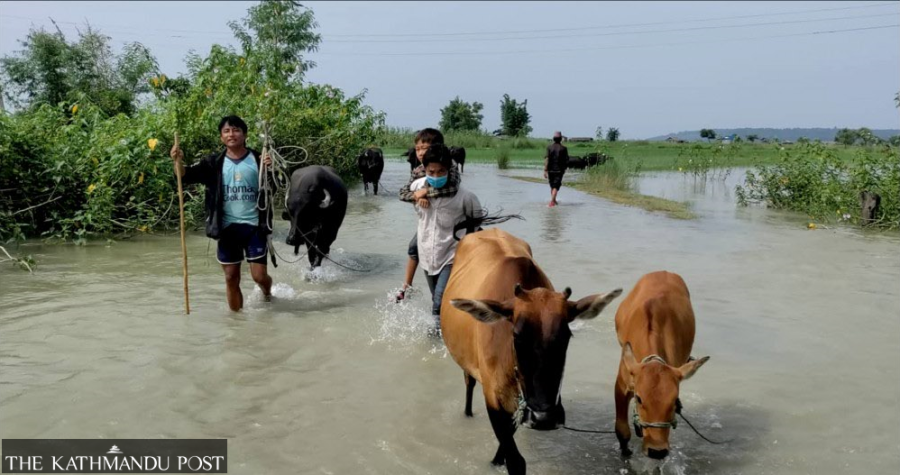 Around 2,500 families in Udayapur affected by Saptakoshi river flooding