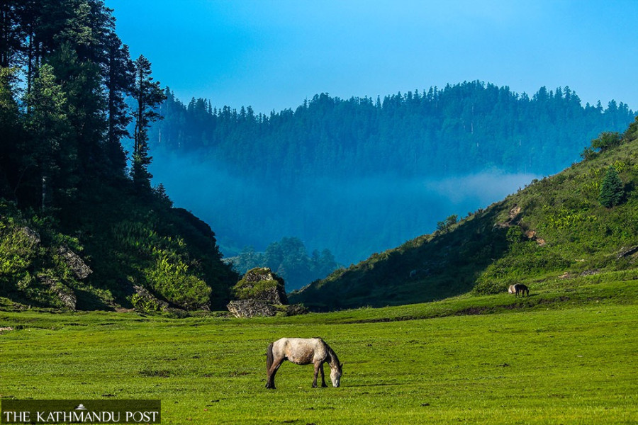 Khaptad, destination for all seasons