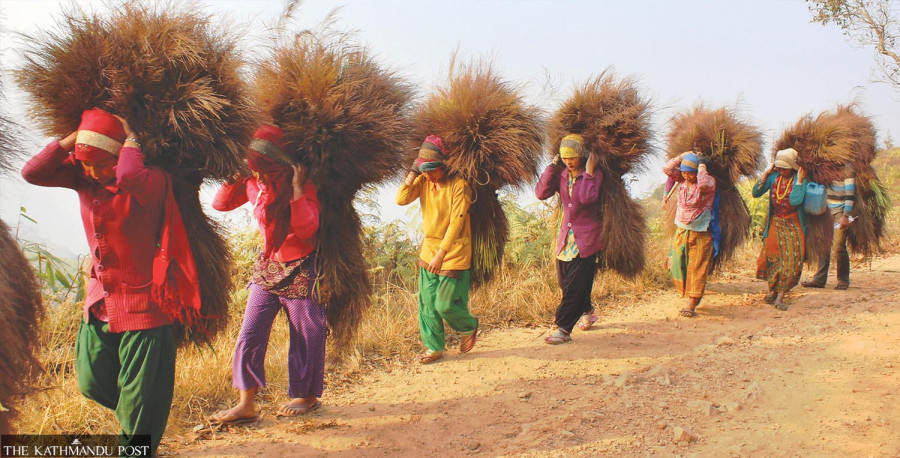 Only 17 percent of Nepalis covered by social protection benefit, ILO says