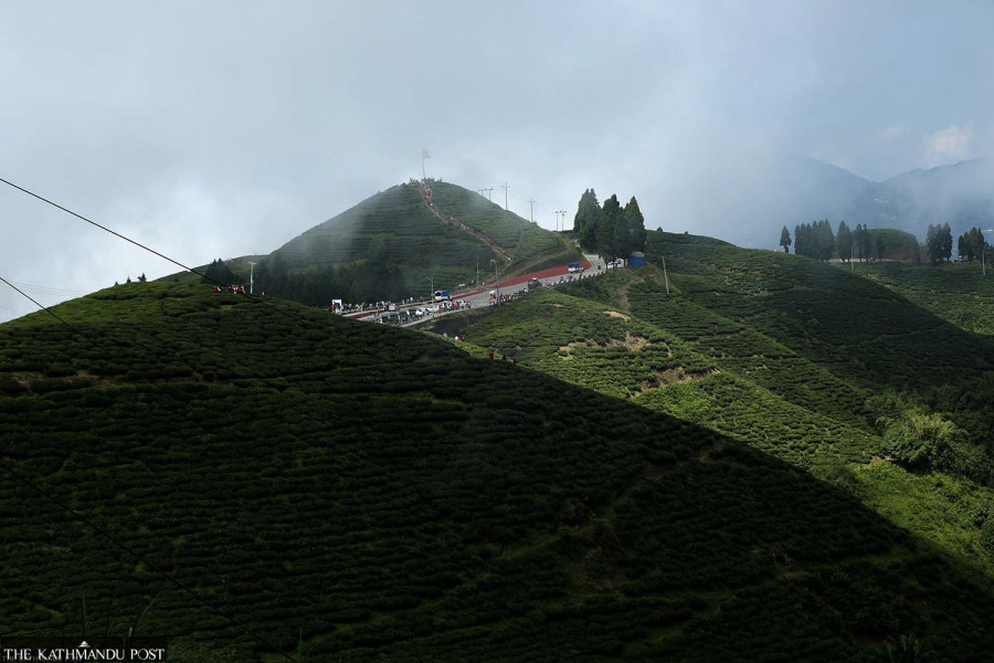 Nepali tea growers breathe easier after India lifts ban on blending