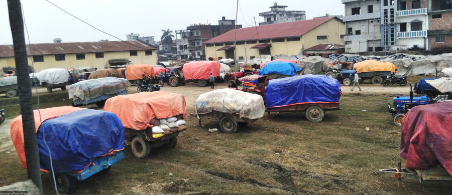 Lockdown, unseasonal floods and loss in quality dealt triple blow to paddy farmers