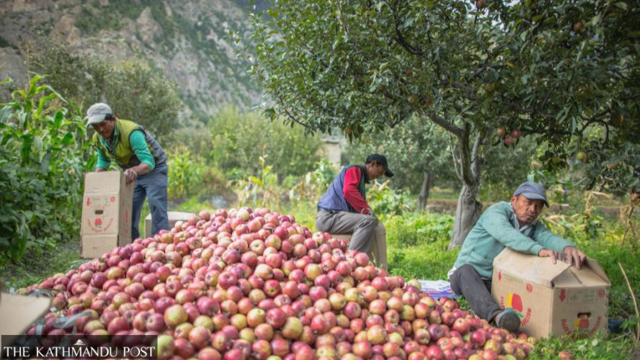 ADB extends $70 million to improve horticulture in Nepal’s hill areas