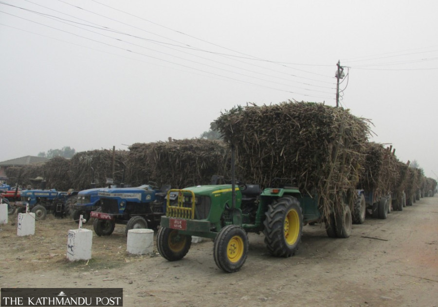 Sugarcane farmers in Rautahat forced to sell their produce at lower prices