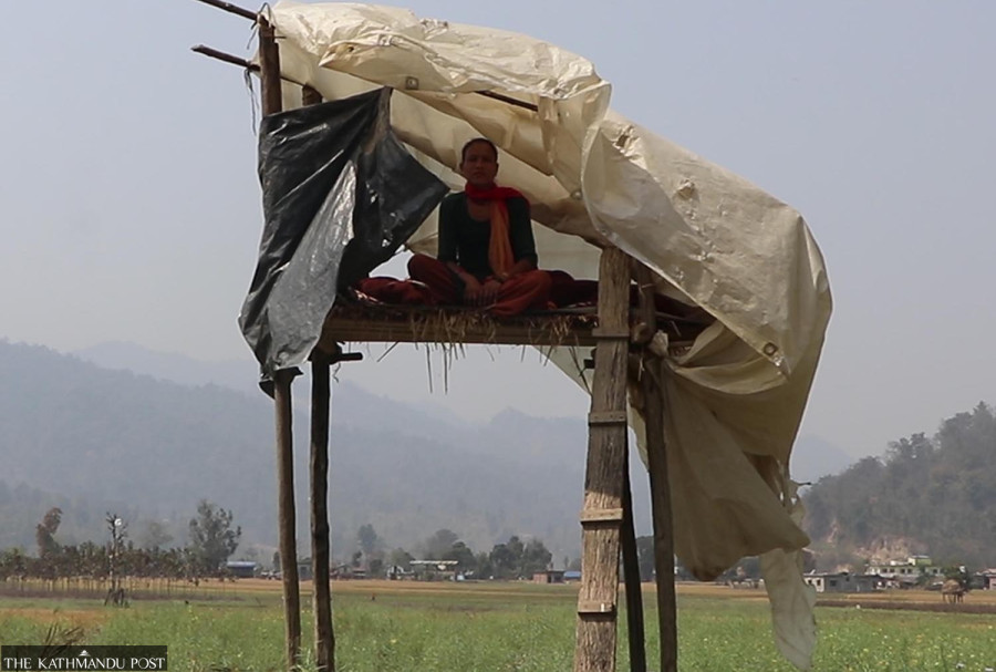 Salyan villagers keep watch to protect crops