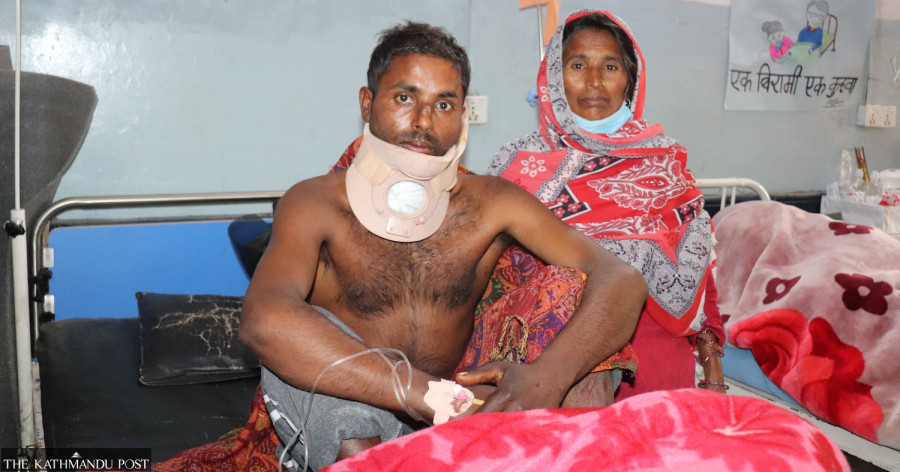 With more tigers, attacks are also up