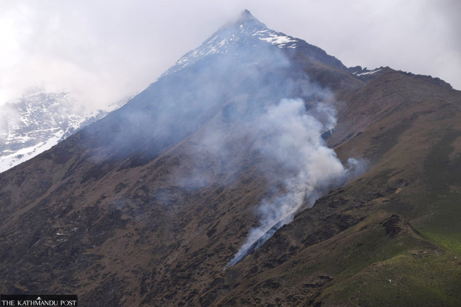 Wildfires in Bajhang highlands destroy biodiversity