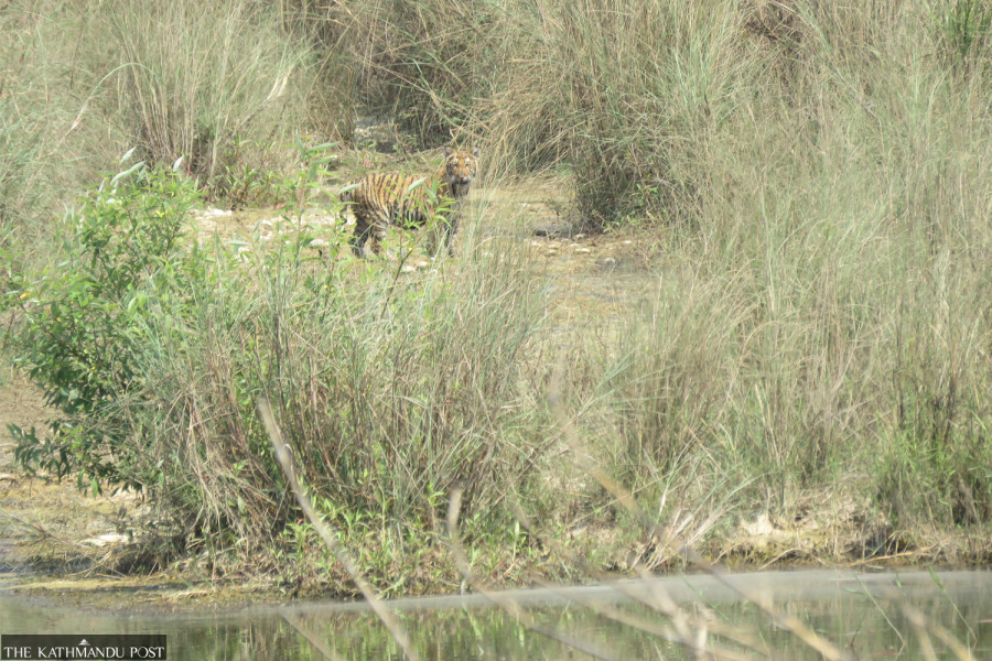 Bardiya National Park proposes setting up open zoo