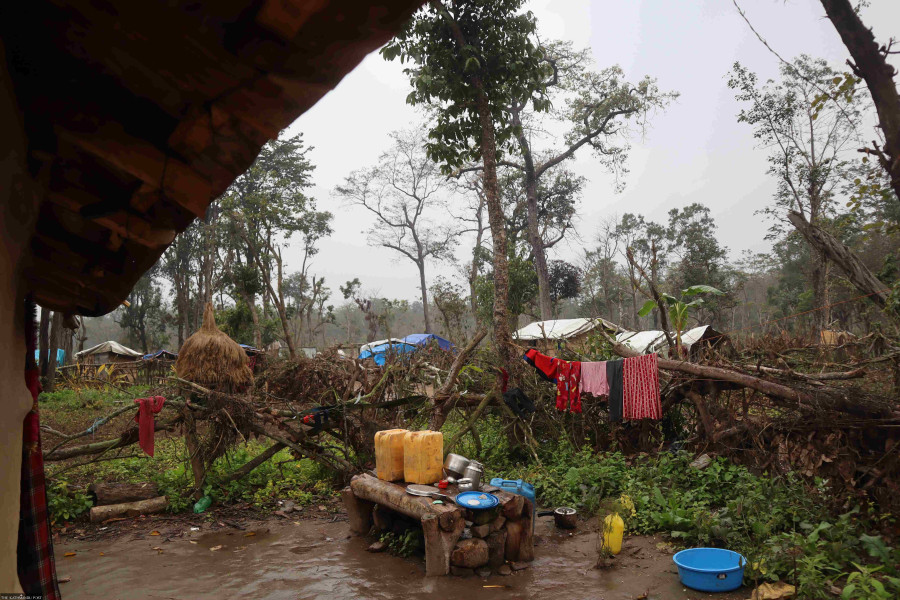Encroachment, deforestation shrink forest cover