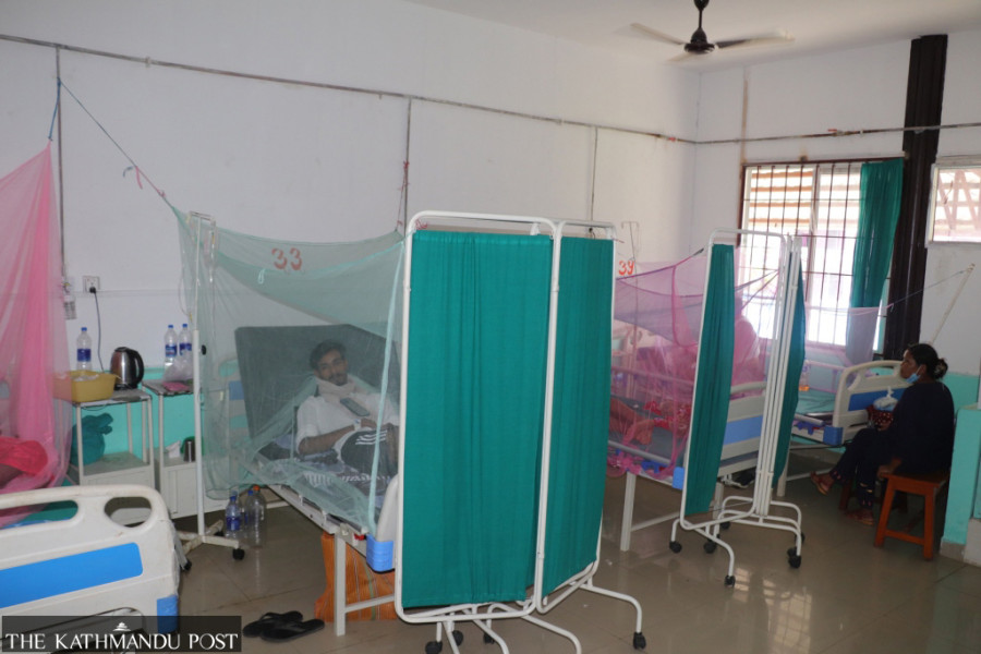 Dengue taking its toll in Makawanpur and Dhading
