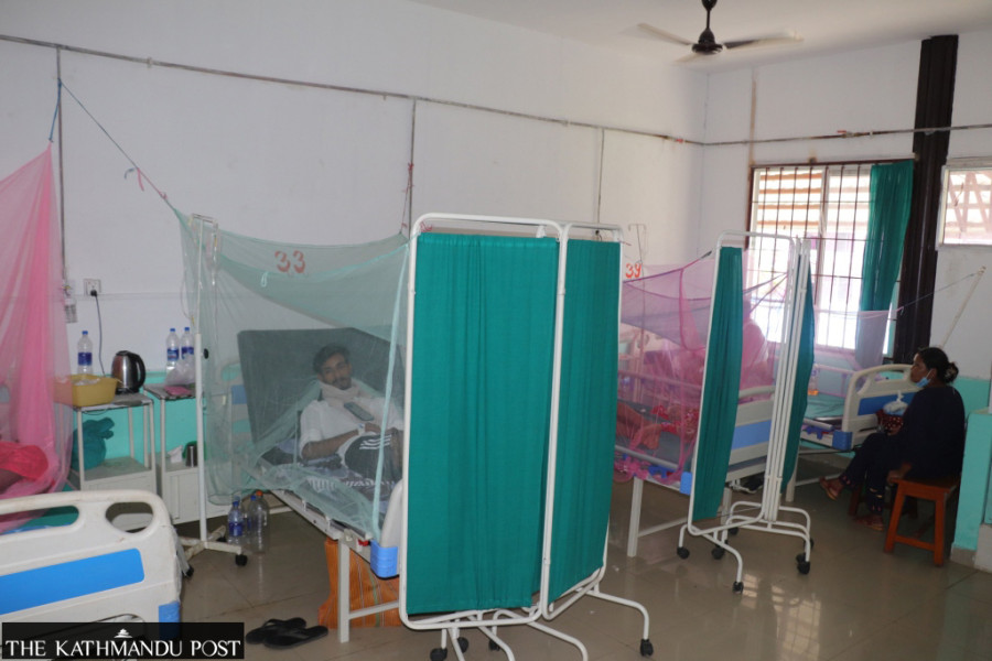 Dengue spread has slowed, not stopped