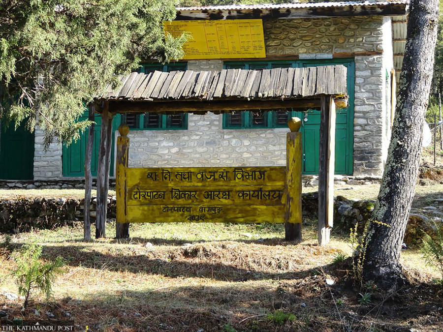 Nepali hunters can now shoot wild boars in Dhorpatan