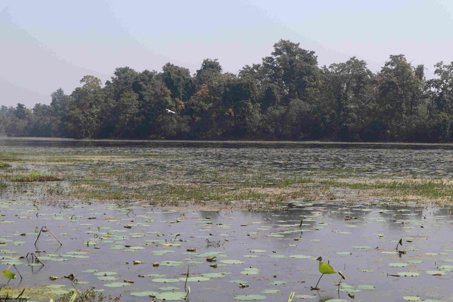 Ghodaghodi wetland area declared country’s first bird sanctuary