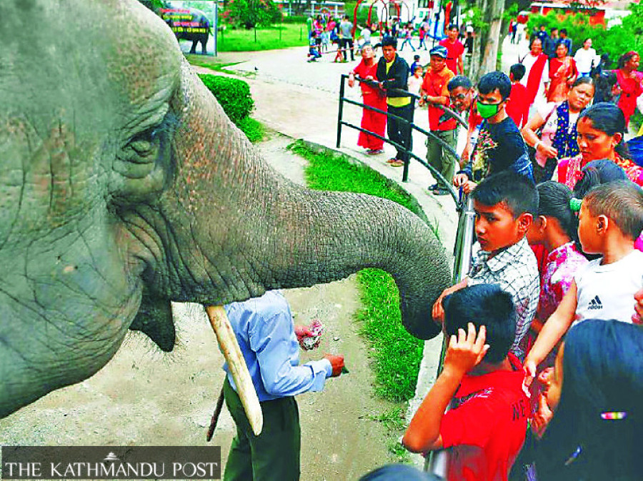 Top officials signed up for zoo’s animal adoption programme but discontinued promised payments