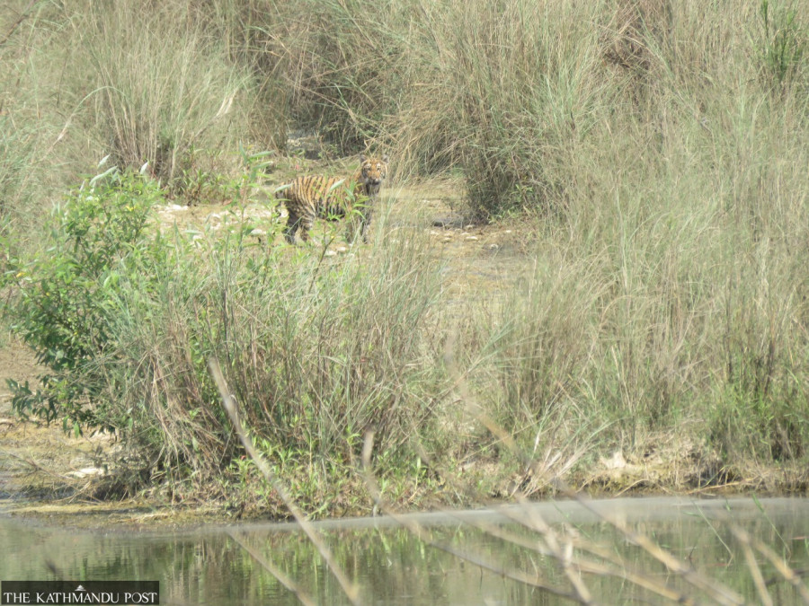 Bardiya park sees increase in tourist numbers