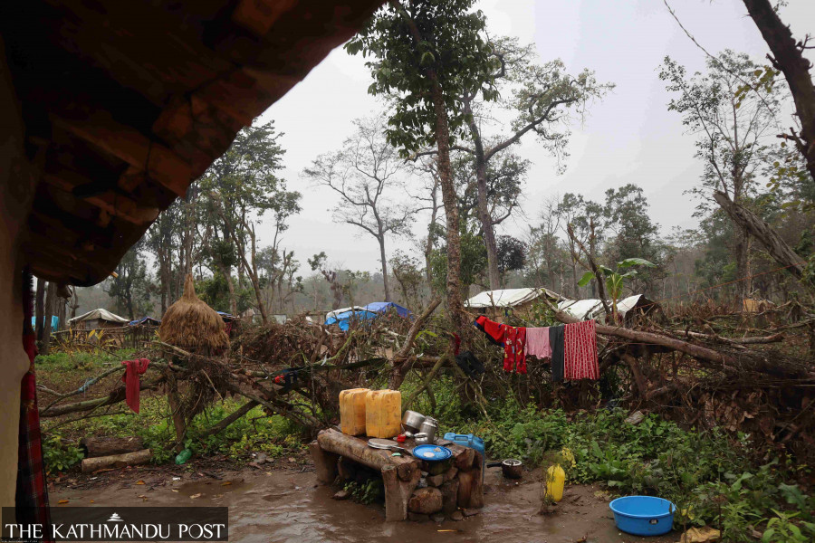 Kailali is losing its forests rapidly to various projects