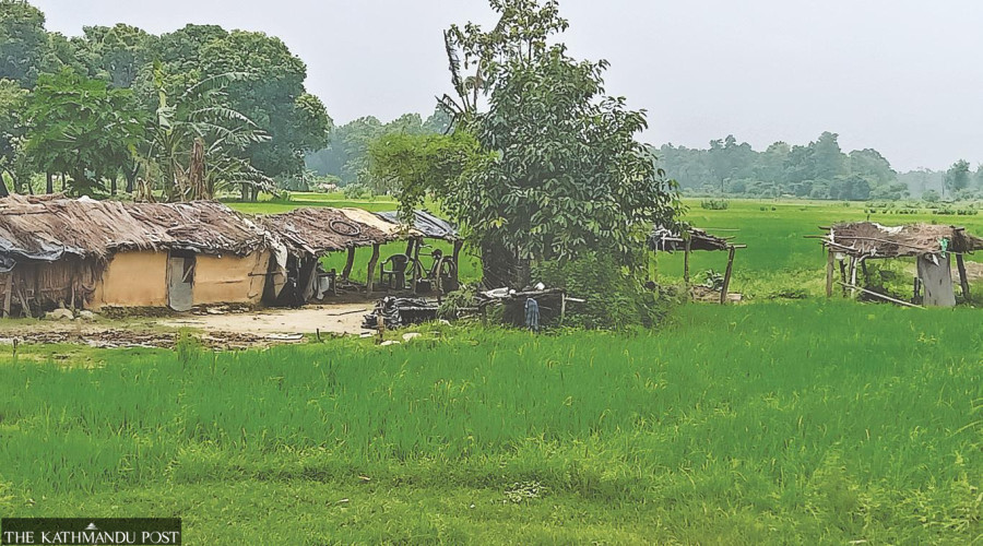 Failure to rehabilitate families displaced by national park detrimental to humans, wildlife