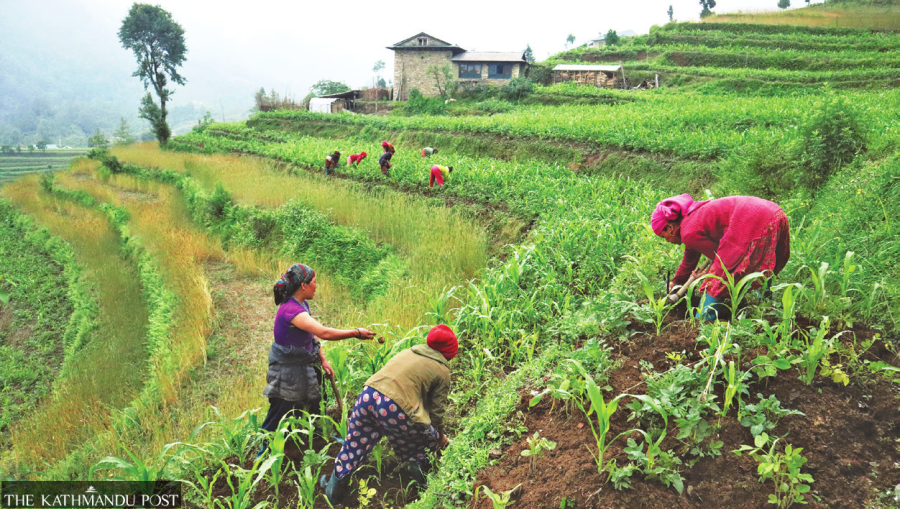 Government targets too ambitious and unrealistic, experts say