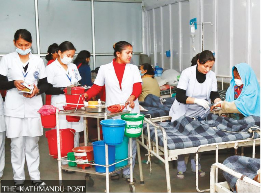 ‘Government role crucial for attracting students to nursing’