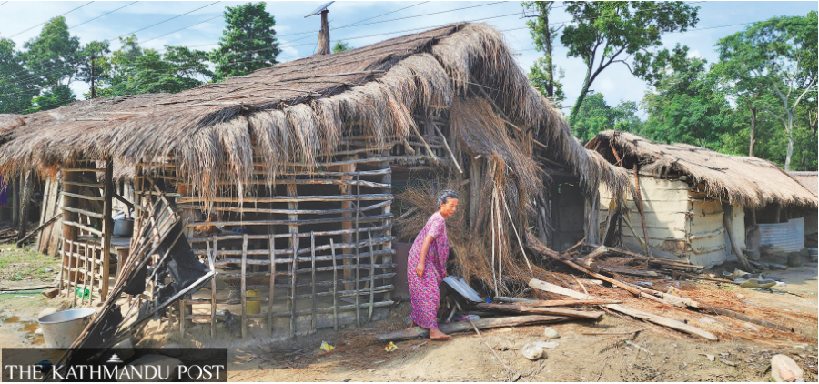 Squatters fall victim to elephant attacks