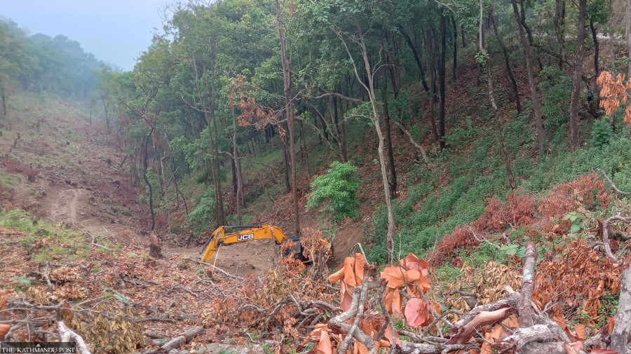 Deforestation for development leading to environmental degradation