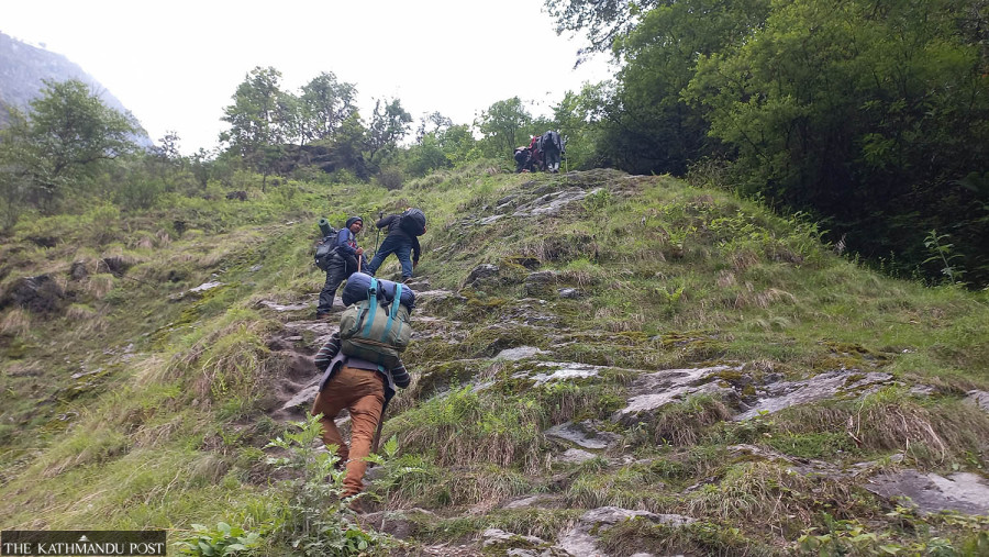 Yarsagumba pickers travel to highlands with no guarantee of safe return