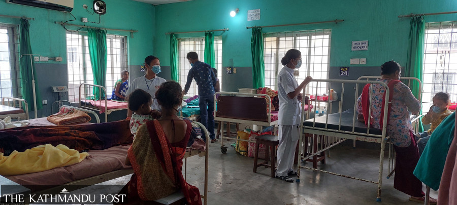 Pre-monsoon rise in dengue and scrub typhus cases alarms entomologists