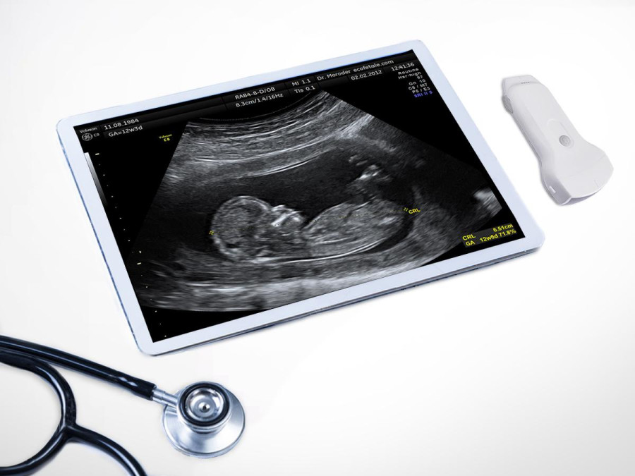 Enter handheld ultrasound