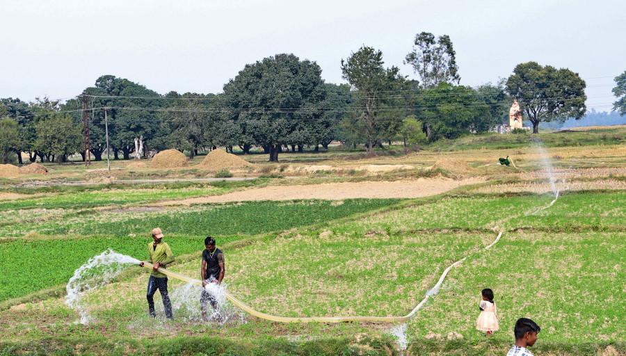 The water and food nexus