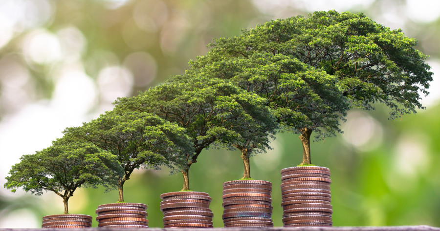 Medium-term economic recovery