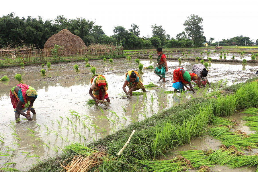 How heat waves hit women farmers