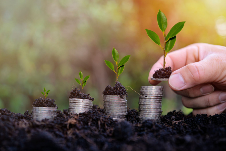 Leveraging public debt for fiscal sustainability