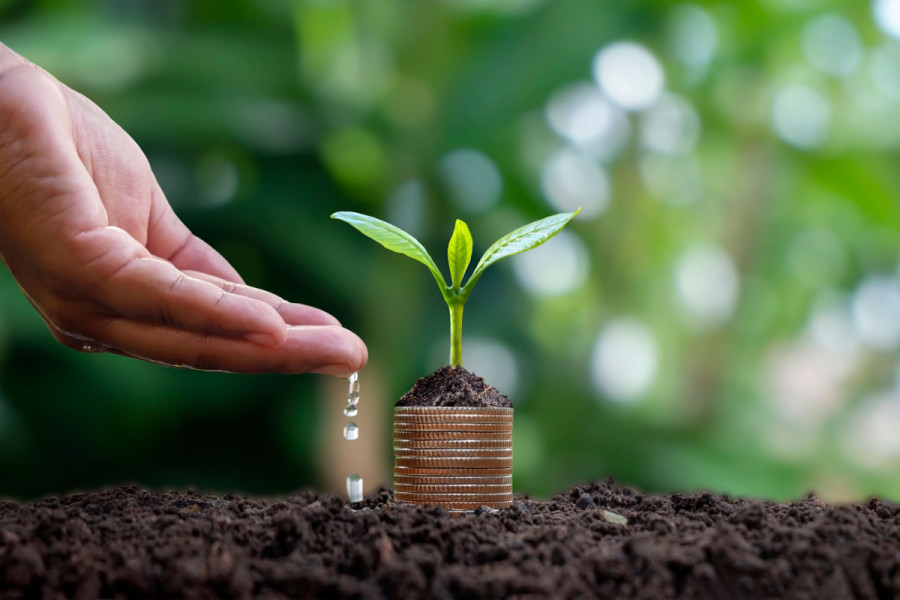 Mobilising corporate assets for sustainable development