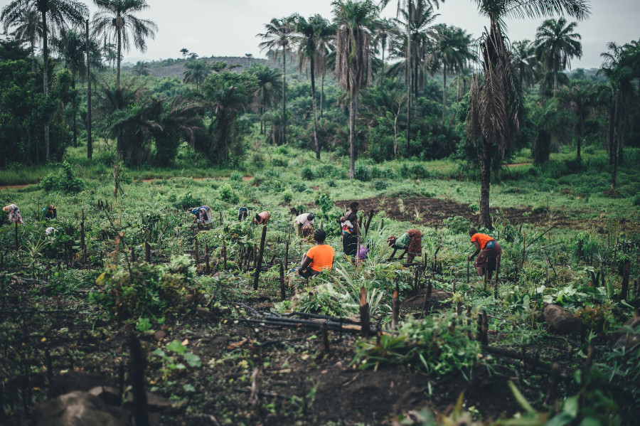 Supporting Africa’s small farmers