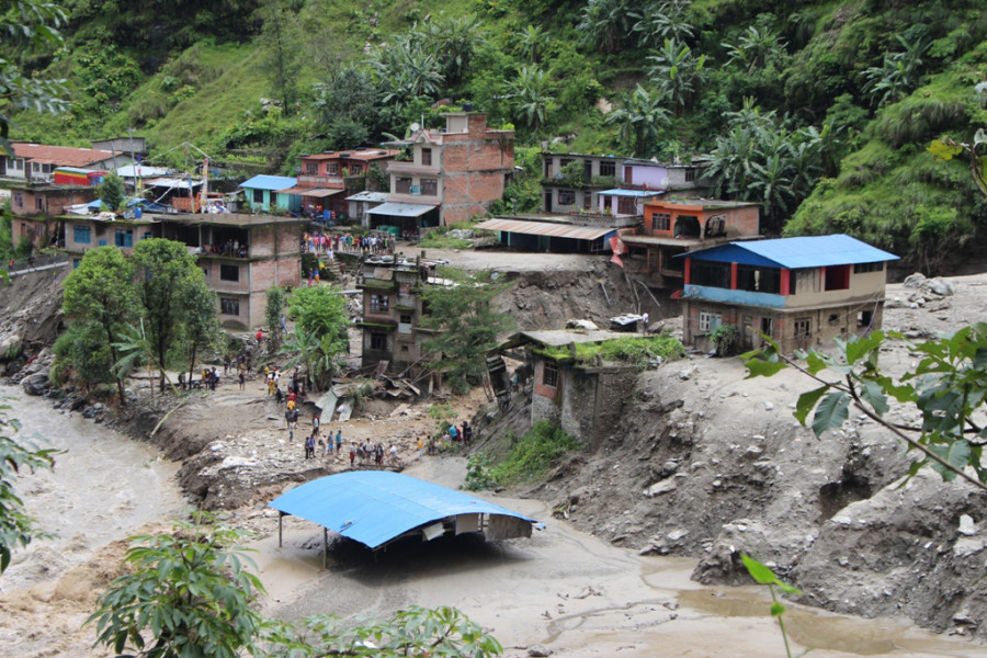 Multisectoral multiscale disasters