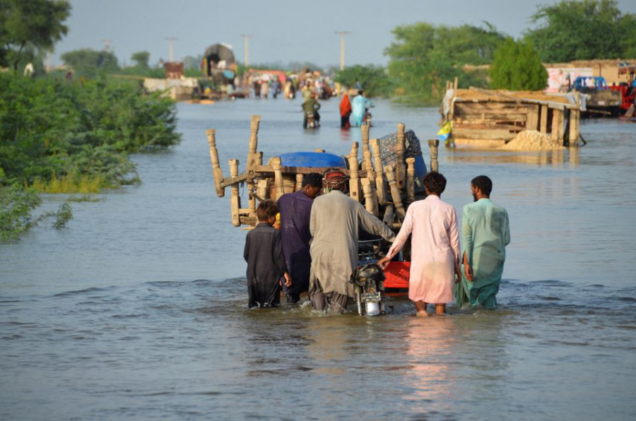 Climate inaction and policy failures