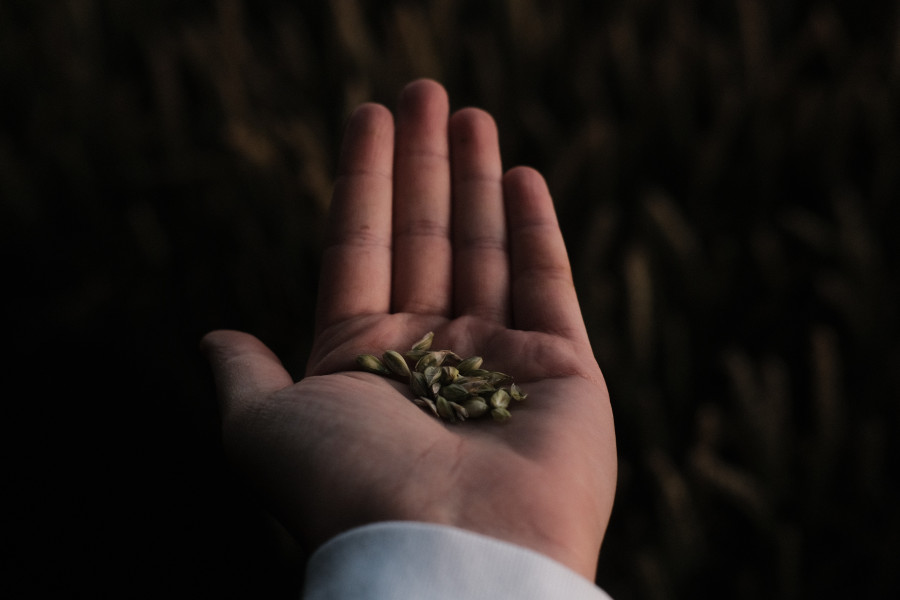 The food crisis is bigger than Ukraine