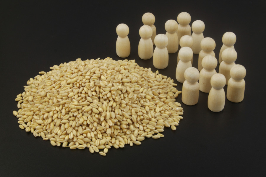 Growing foods to feed the hungry