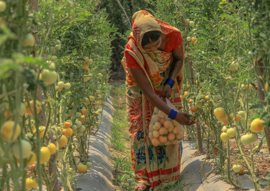 Promoting gender-responsive trade